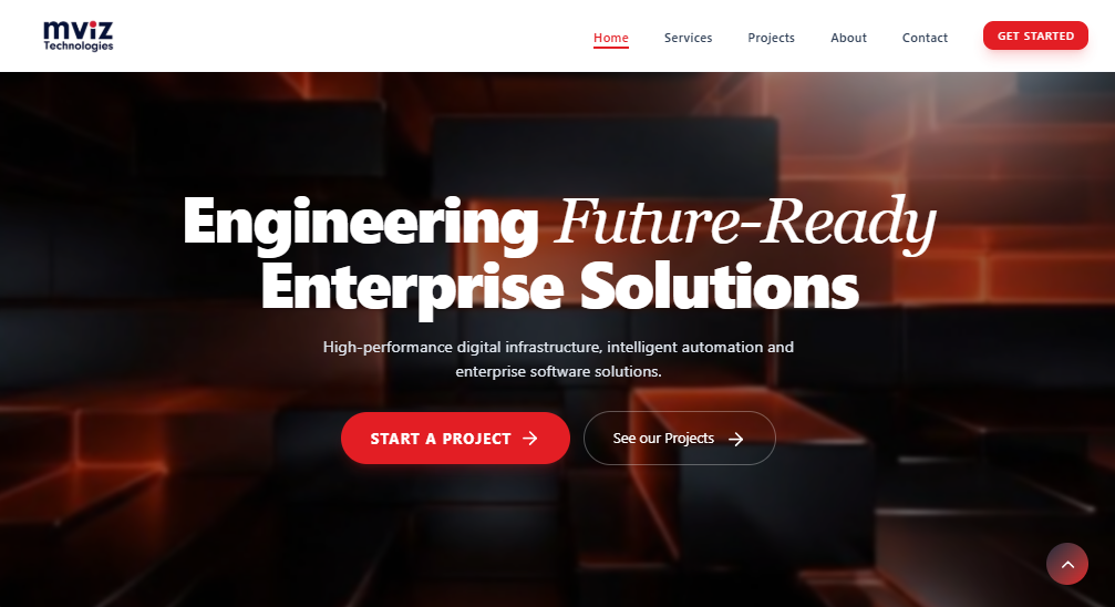 mviz Technologies Website Frame